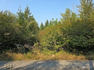 13849 Starflower Ln SE, Yelm, WA 98597