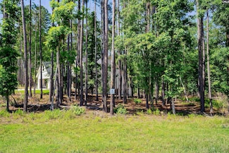 Lot 79 Timber Trail Ln, Prosperity, SC 29127