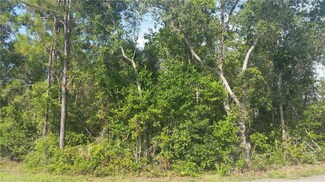 0 Midway Rd Unit P4901143, Haines City, FL 33844