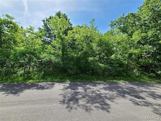 10312 Turkey Trail Dr, Hillsboro, MO 63050