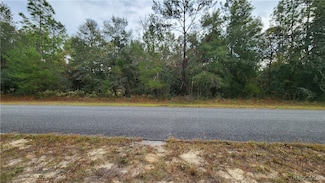 790 W Abner Place, Citrus Springs, FL 34434