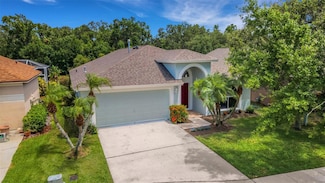 27542 Sky Lake Cir, Wesley Chapel, FL 33544