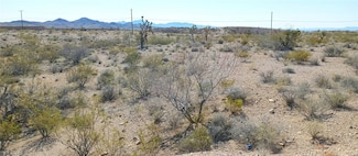 0 E Encinitas St, Searchlight, NV 89046