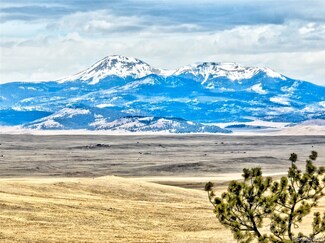 0 Chaui Trail Unit 2313358, Hartsel, CO 80449