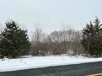 1614 66th St, Fennville, MI 49408