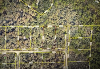 0 Rose Bloom Ave Unit MFRG5101091, Webster, FL 33597