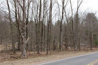 Lot 5 Co Rt 17, Constantia, NY 13044