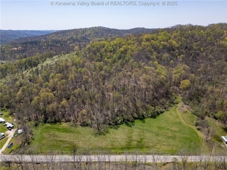0 Creek Unit 278315, Hamlin, WV 25517