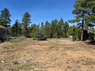 340 N Fox Run, Show Low, AZ 85901