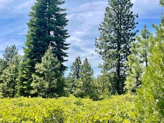 196 Dinsmore Dr, Lake Almanor, CA 96137