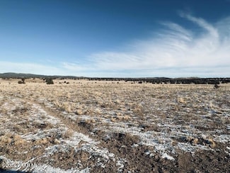 98-C 10 Tanks Rd, Ash Fork, AZ 86320
