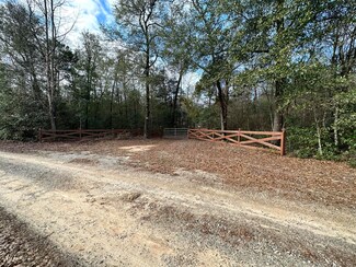 1164 Farmers Bridge Rd, Keysville, GA 30816