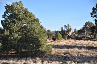 9075 Bird Dog Cir, Williams, AZ 86046