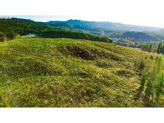 260 Young Rd Unit 4, Kelso, WA 98626