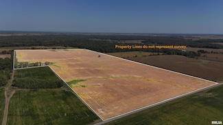 000 S Tallowtree Dr, Songer Township, IL 62899