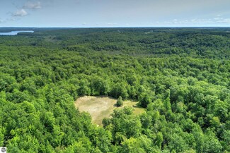 0000 State Park Hwy, Buckley, MI 49620