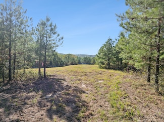 0 Cox Hollow Rd, Dover, TN 37058