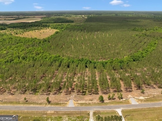 0 Dewey Thomas Rd Unit LOT 3 10305553, Dexter, GA 31019