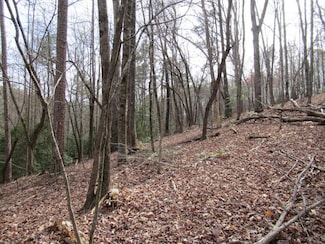 0 Long Branch Rd Unit 7357871, Dahlonega, GA 30533