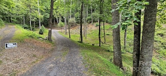 264 Quiet Times Ln, Burnsville, NC 28714