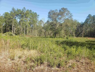 10690 Erickson Ave, Hastings, FL 32145