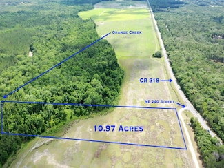 TBD NE 240th Avenue Rd, Fort Mc Coy, FL 32134