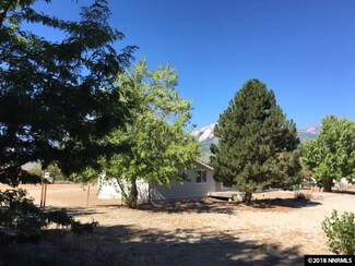 2945 Eagle St, Washoe Valley, NV 89704
