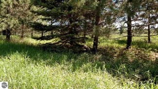 TBD Douglas Rd, Riverdale, MI 48877