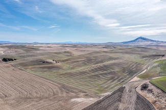 TBD Oakesdale Rd, Oakesdale, WA 99158