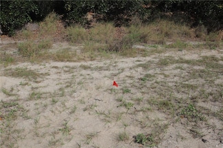 36 Mar Azul N, Ponce Inlet, FL 32127