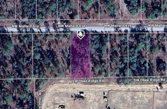 Lot 27 NW Mallard Ave, Dunnellon, FL 34431
