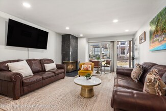 100 E Dean St Unit 1-D, Aspen, CO 81611