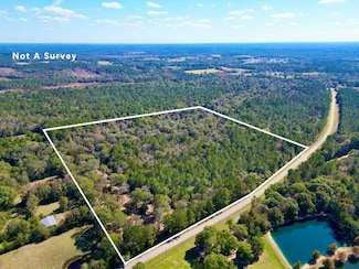 42.56 AC Fords Creek Rd, Poplarville, MS 39470
