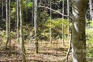 444 Culvin Creek Rd Unit 145 ACRES, Marshall, NC 28753