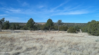 18 8021, Concho, AZ 85924