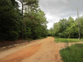 0000 Bluffwood Rd Unit Lot 9 & 10, Wagener, SC 29164