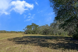 Lot 6 County Road 229, Bedias, TX 77831