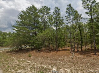3566 W Hayward Ln, Pine Ridge, FL 34433