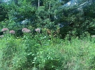 Lot 2B & 4 Vickerman Rd, East Lackawannock Township, PA 16137