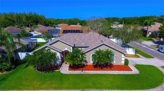 17918 Sparrows Nest Dr, Lutz, FL 33558