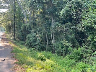00 Rev R Powe Rd, Wiggins, MS 39577