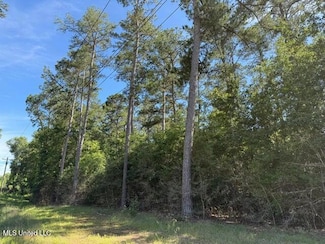 2 Acres U S 49, Collins, MS 39428