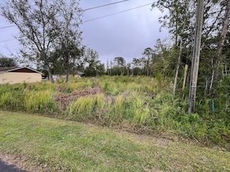 110 San Benito Way, Kissimmee, FL 34758