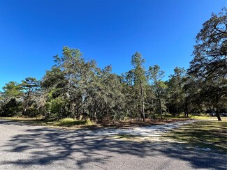 11056 Flatwood Ave, Weeki Wachee, FL 34613