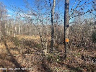 TBD Oak Ridge Rd, Ellenville, NY 12428