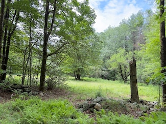 0 John Ford Rd Unit 73403156, Ashfield, MA 01330