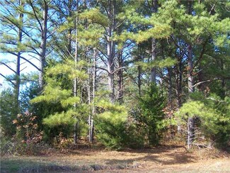 0 New Hope Dr, Adamsville, TN 38310
