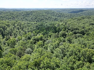 0 Laurel Branch Rd Unit 11518160, East Bernstadt, KY 40729