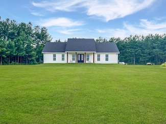 29091 C W Williams Rd, Angie, LA 70426
