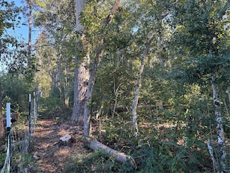 0 L C Herschap Ln, Livingston, TX 77351